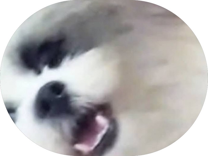 Foto 2 de Josiane R Mendonça