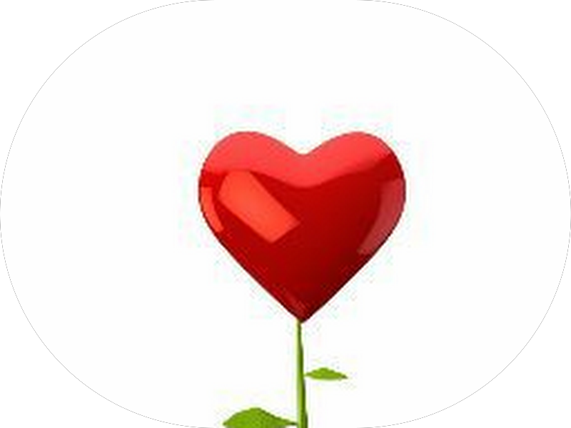 Foto 2 de JVA CLÍNICA ODONTOLOGIA LTDA