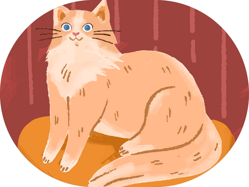 Foto 4 de L'Amore Odontologia Canoas