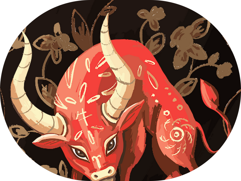 Foto 5 de L'odontologie Studio Odontológico