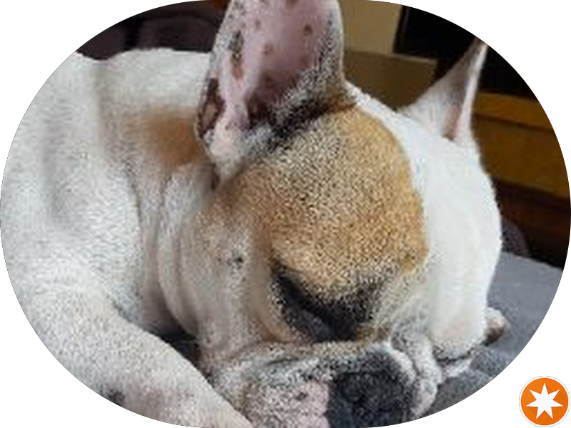 Foto 6 de LA CASA ODONTOLOGIA