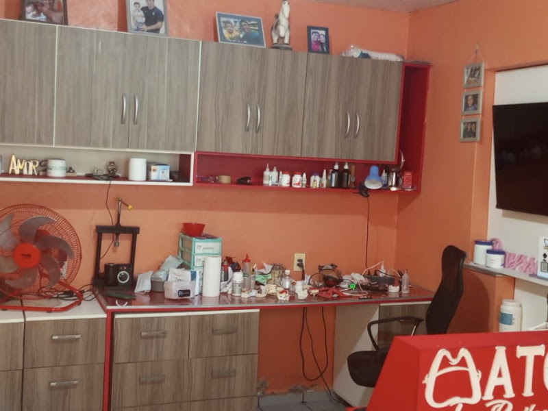 Foto 3 de Laborart Dental - Olavo Souza