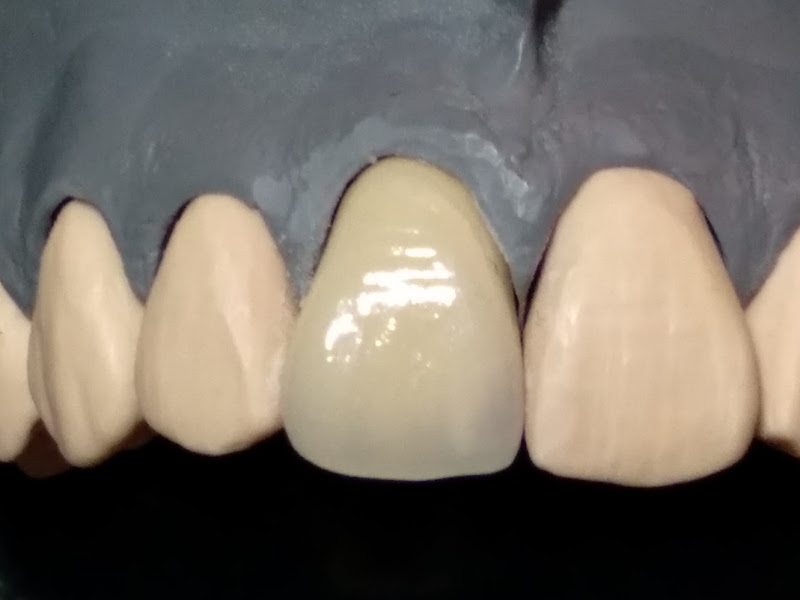 Foto 3 de Laboratório de Prótese Dentária