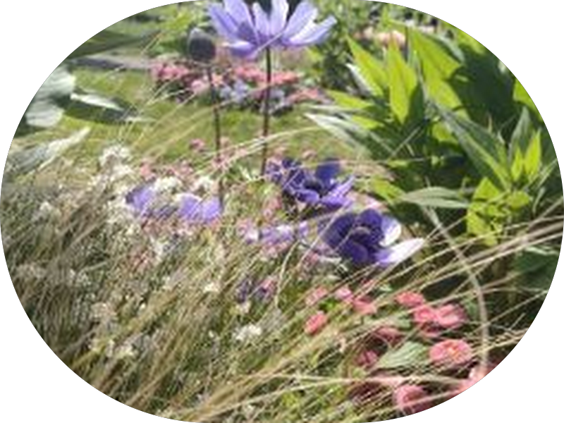 Foto 2 de Laboratório de Prótese Dentária Cury