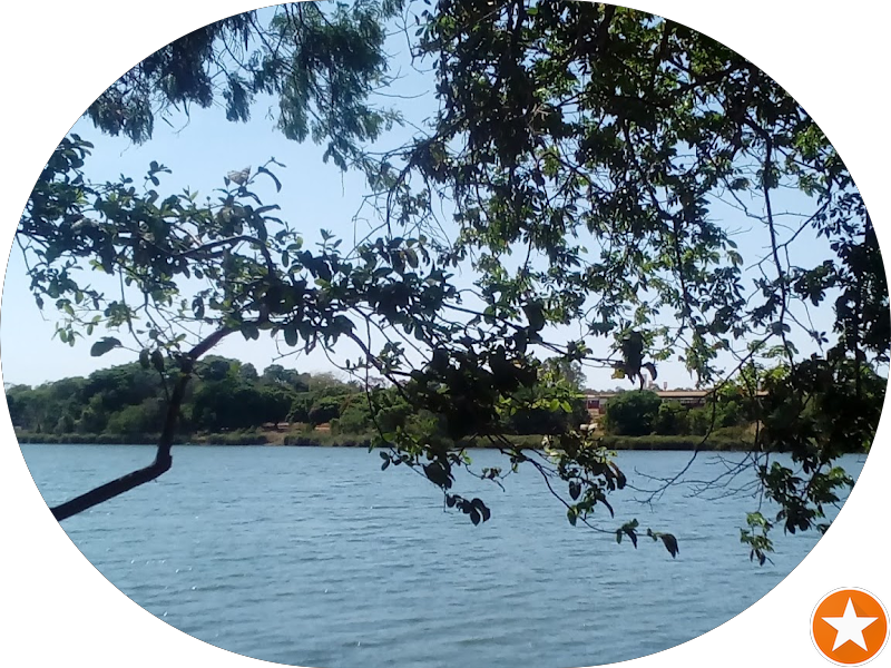 Foto 4 de Lac-Vitae Dentista