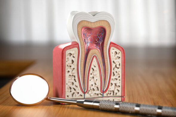 Foto 3 de Lacerda Odontologia - Ribeirão Preto - Ortodontia, Implante e Estética Dentária