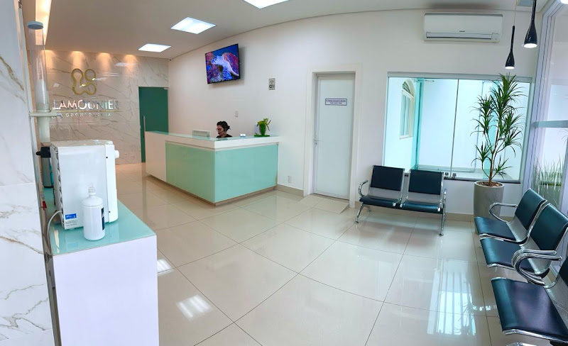 Foto 2 de Lamounier Odontologia