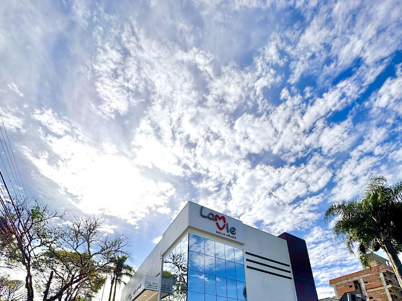 Foto de Lamvie Saúde