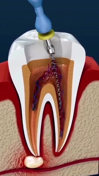 Foto 5 de Laranjeiras Clínica Especializada