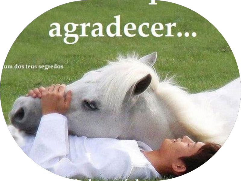 Foto 2 de Lauro Lins - Odontologia