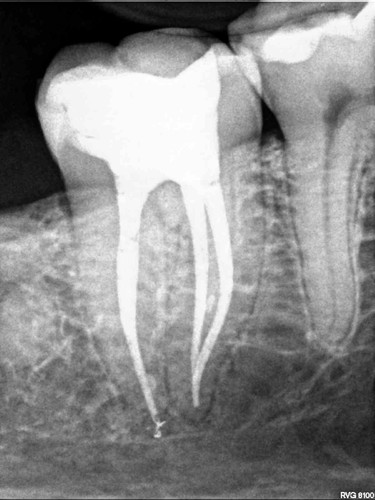 Foto 3 de LDF Odontologia