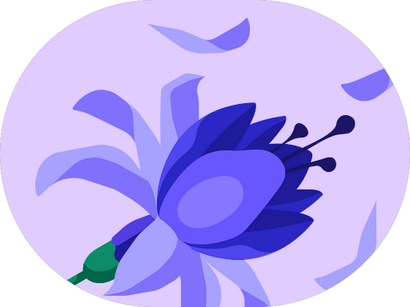 Foto 2 de Le Clinique Odontologia | Dentistas em Balneário Camboriú