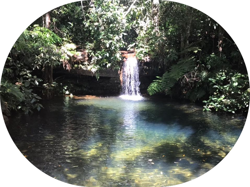 Foto 4 de Lemos Pelissari - Clinica Odontologica