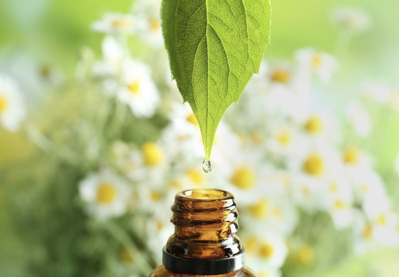 Foto 2 de Liene Campos / Auriculoterapia clinica/ Aromaterapia