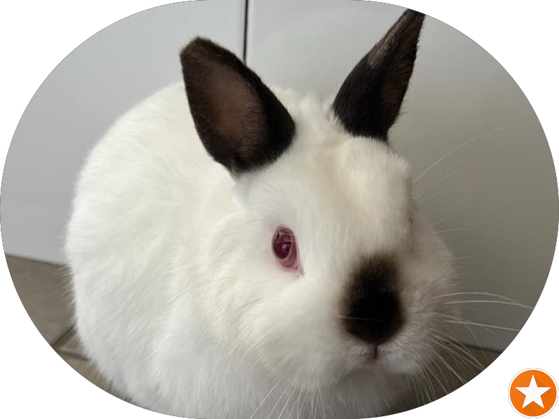 Foto 2 de LIFECENTER ODONTOLOGIA