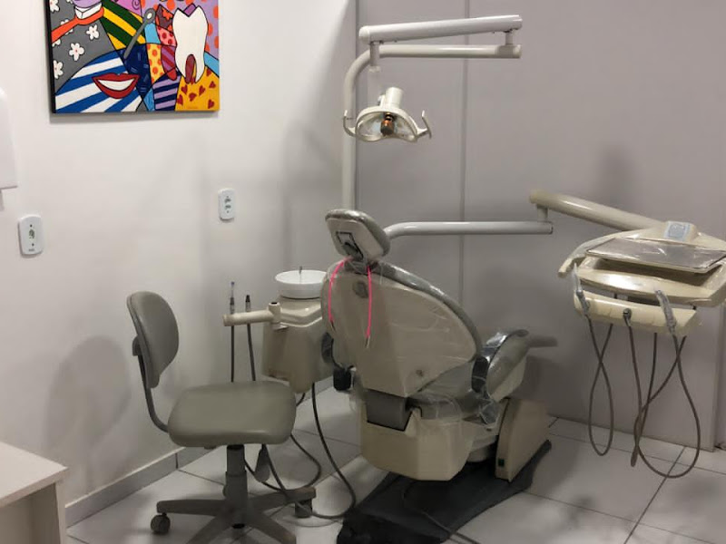 Foto 3 de Lilian Eva Gonçalves-Odontólogo