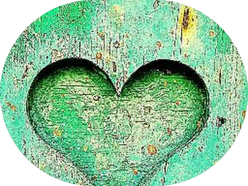 Foto 3 de Lilian Pavanelli Odontologia