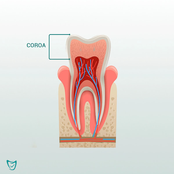 Foto 3 de Lindo Riso Odontologia