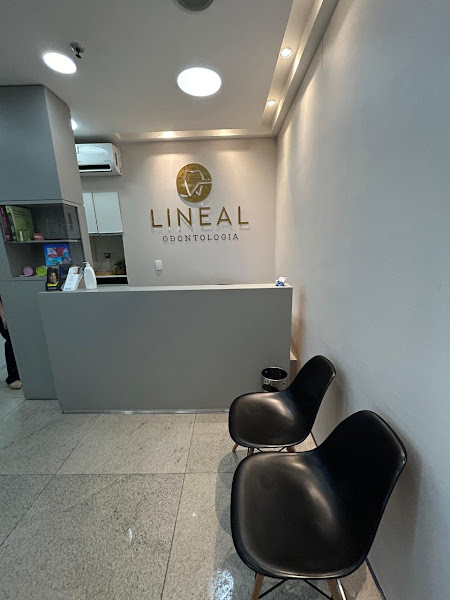 Foto 3 de Lineal Odontologia