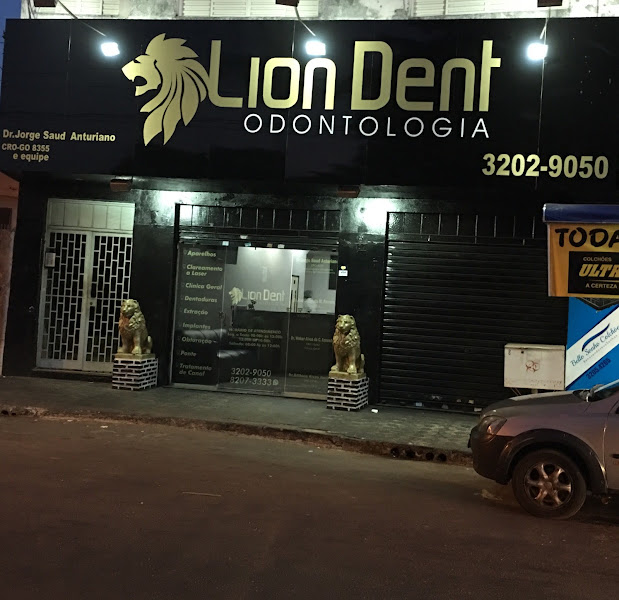 Foto 3 de Lion Dent