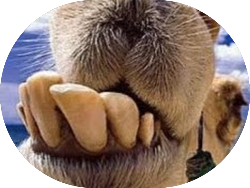 Foto 4 de LL Odontologia Especializada - Unidade 1