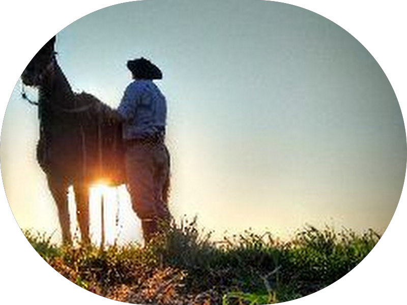 Foto 3 de Louise Galeski Odontologia