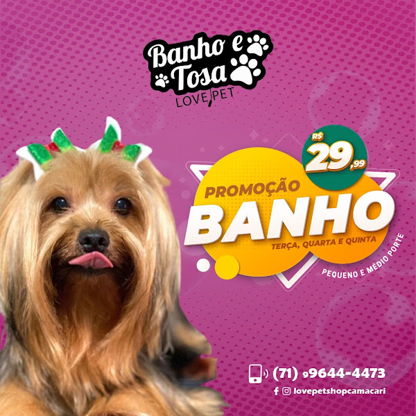 Foto 3 de LOVE PET (Banho e Tosa)