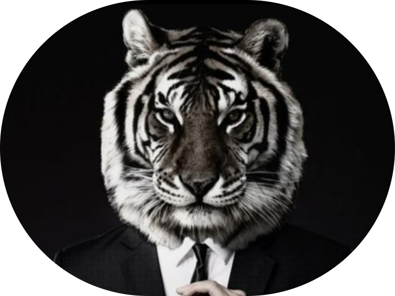 Foto 6 de Lucas Teles Odontologia