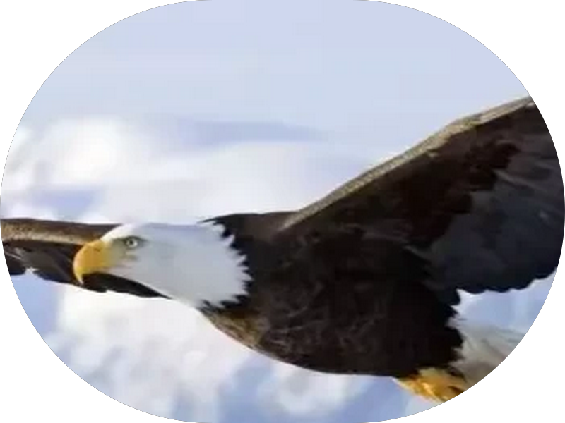 Foto de Luma Estética