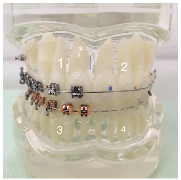 Foto 3 de M. Menezes Odontologia Integrada