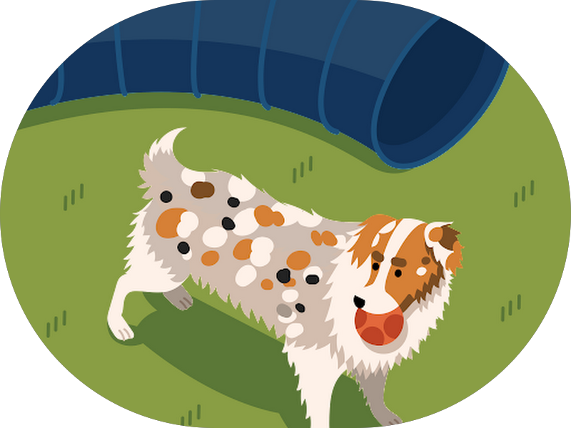 Foto 2 de M.Y ODONTOLOGIA - Dra Myllena Fernandes