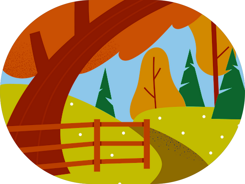 Foto 5 de Maccaferri Odontologia