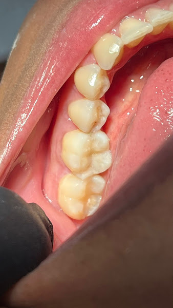 Foto 3 de Machado Odontologia & Educação