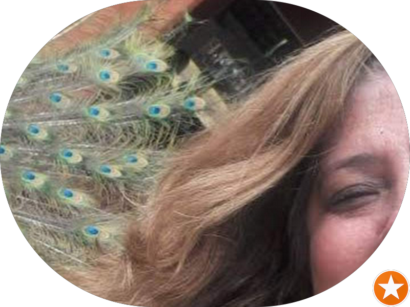 Foto 4 de Magnaghi Odontologia