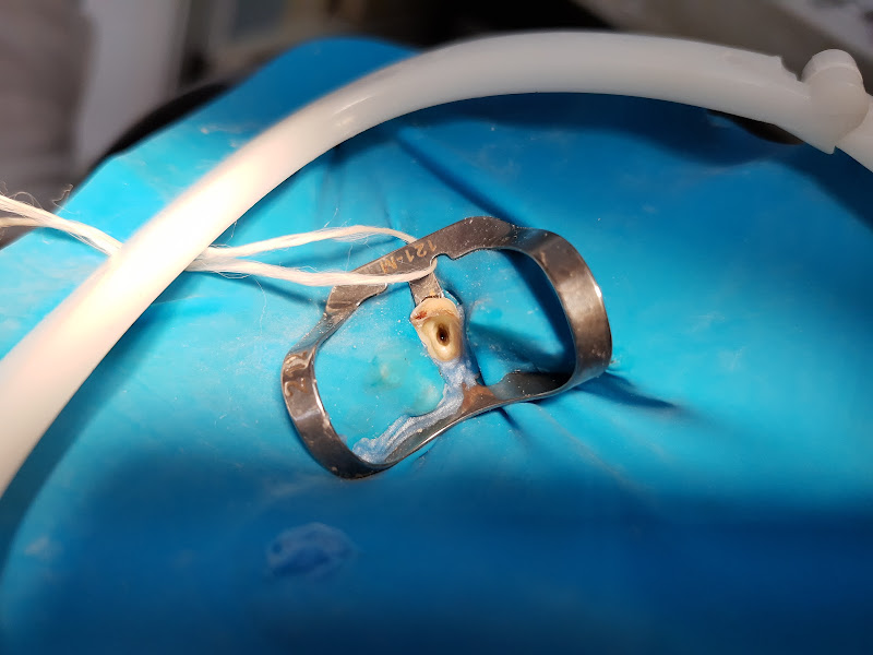 Foto 3 de MAIRES ODONTOLOGIA - Consultório Odontológico