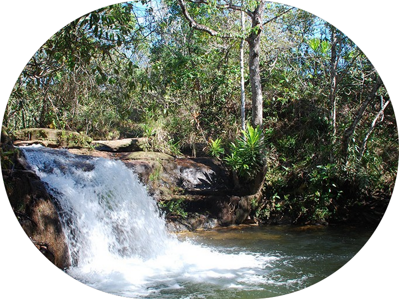 Foto 3 de Mais Odontologia