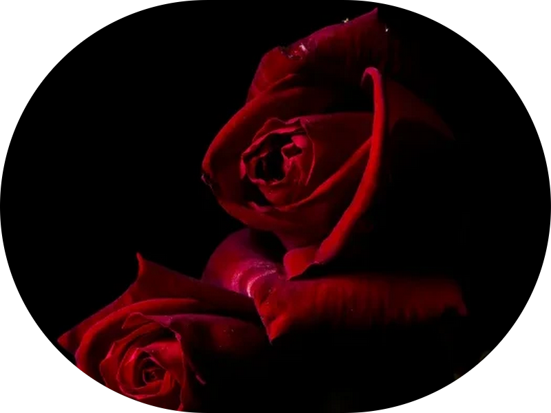 Foto 4 de Mais Sorrisos Clínicas Odontológicas | Montes Claros