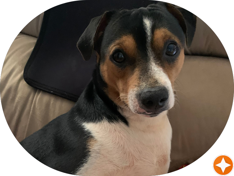 Foto 2 de Malheiros Odontologia