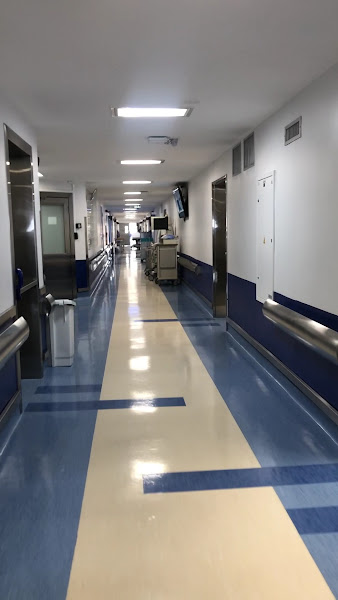 Foto 5 de Mandí Odontologia