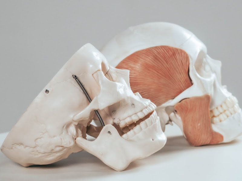 Foto de Mara Duffles - DTM e Dor Orofacial (Santa Efigênia)