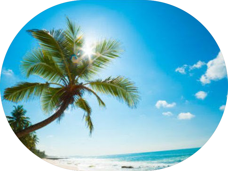 Foto 2 de MARANATA PRÓTESE DENTARIA