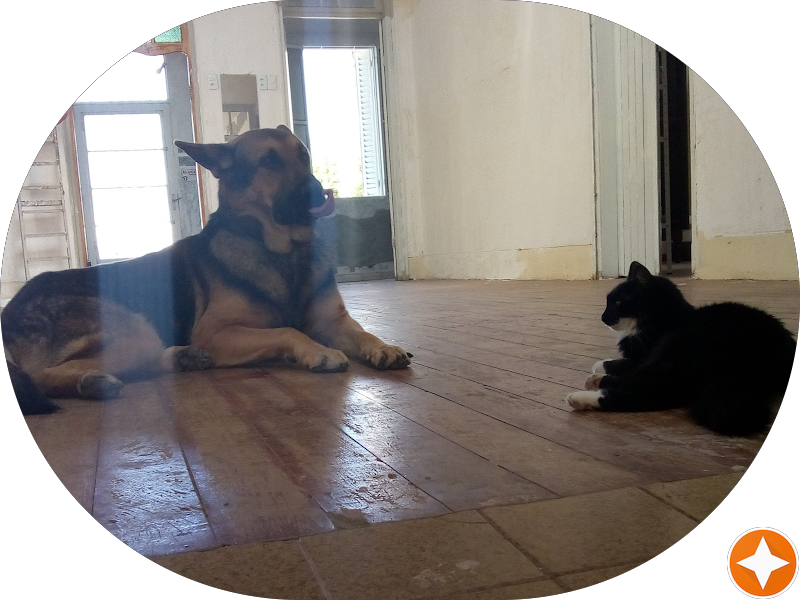 Foto 5 de Marcela Bernaba Gomes - Odontologia e Estética Facial em Higienópolis