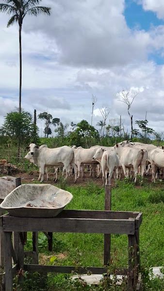 Foto 3 de Marcos Gaspareto - Dental Studio