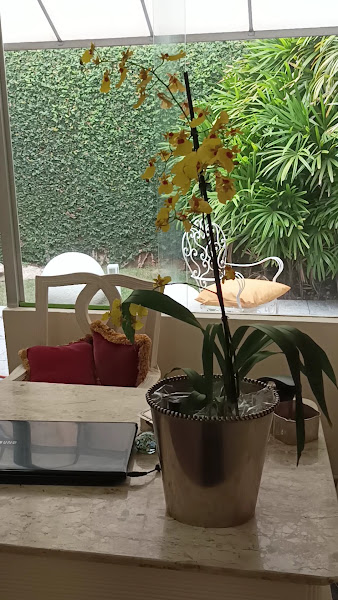 Foto 3 de Maria Bernadete Bertocini