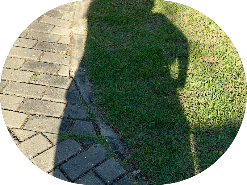 Foto 3 de Maria Rita Hair Tricologista & Terapeuta Capilar | Calvície e falhas capilares RJ