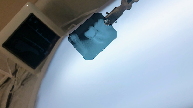 Foto de Mariela Vasconcelos (Tratamento De Canal e Odontopediatria)