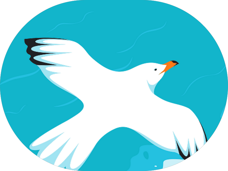 Foto 7 de Massa Odontologia Invisalign Recife