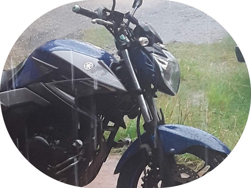 Foto 2 de Master Odontologia