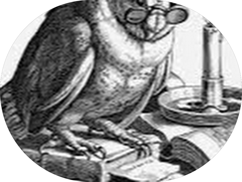 Foto 5 de MaxSorriso