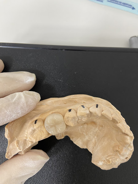 Foto 3 de Mayara Italiano - Cirurgiã Dentista